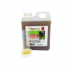 Attractif frelon VespaCatch